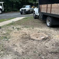 Tree-Removal-and-Stump-Grinding-in-Denton-MD 4